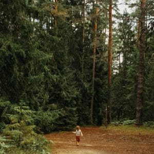 recharge bougie - balade en forêt - lille