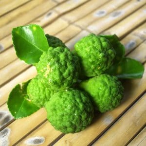 recharge bougie - bergamote - lille