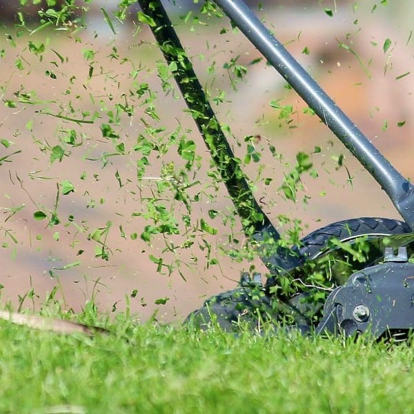 recharge bougie - herbe coupée - lille