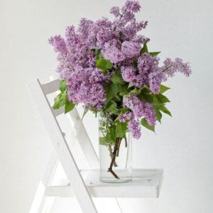 recharge bougie - lilas - lille