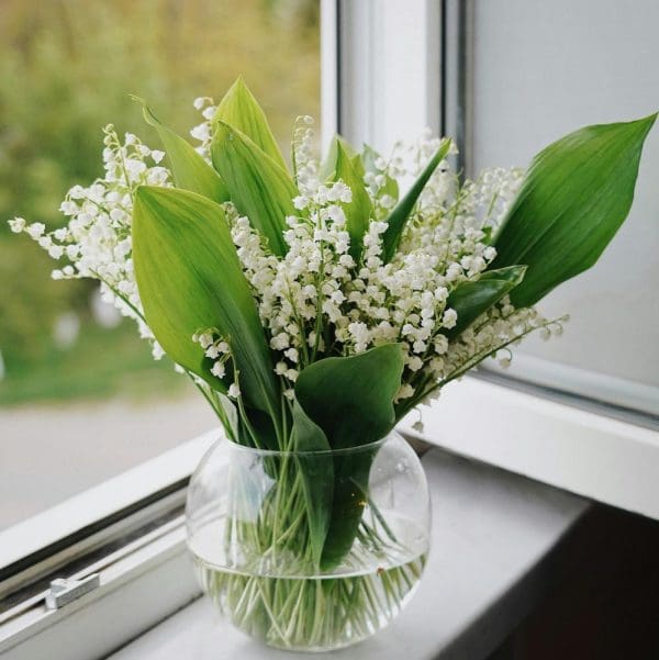 recharge bougie - muguet - lille
